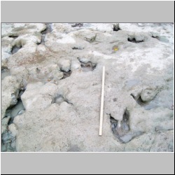 100_0645 (2009-27-07)m.JPG